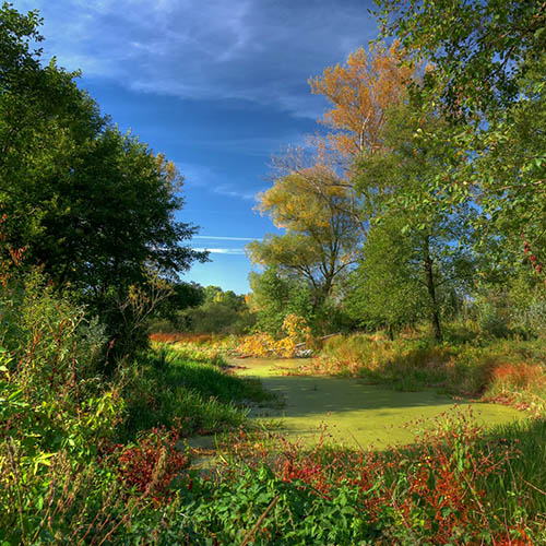 Fotografia przyrodnicza i krajobrazowa – fotografia użytkowa
