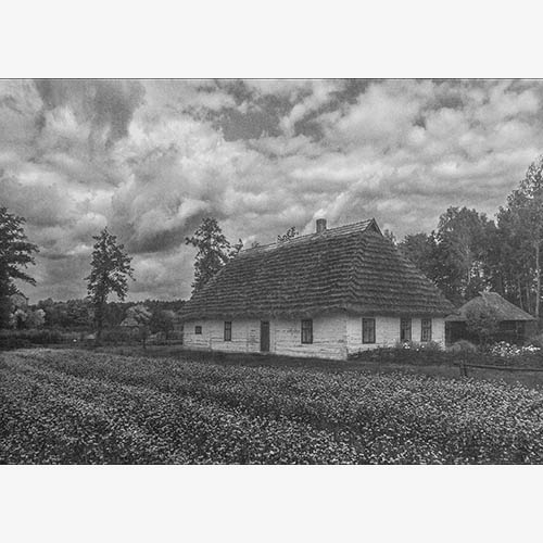 Fotografia szlachetna –guma chromianowa